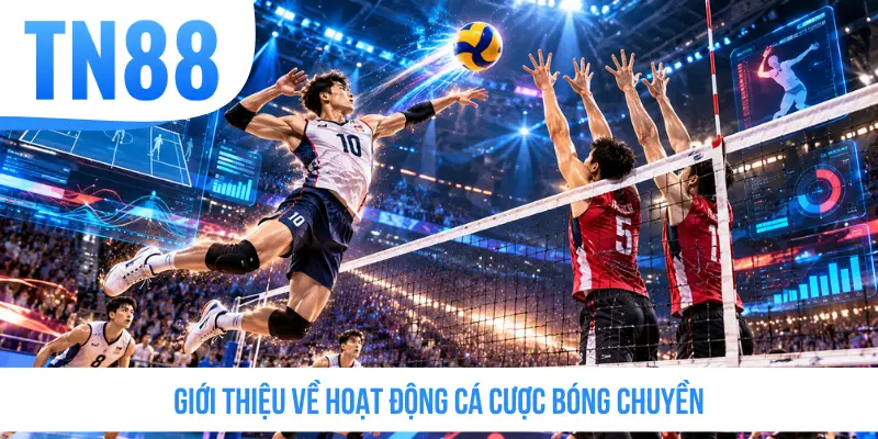 Giới thiệu về hoạt động cá cược bóng chuyền