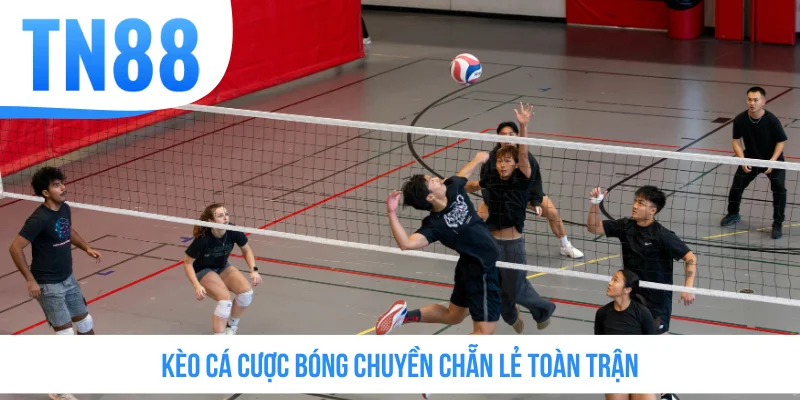 Kèo cá cược bóng chuyền chẵn lẻ toàn trận